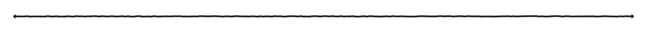 525_Railbird2026_Zendesk_Divider.png